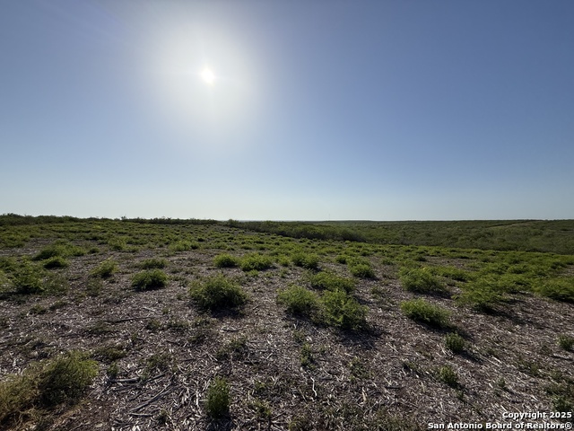 Details for Tract 34 Cr1515, Moore, TX 78057