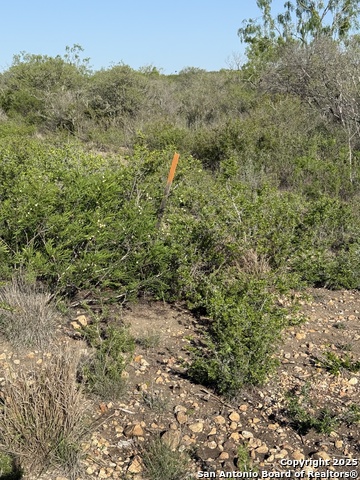 Image 6 of 6 For Tract 34 Cr1515