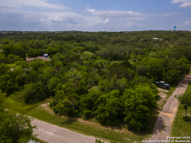 Image 5 of 11 For 255 County Road 386