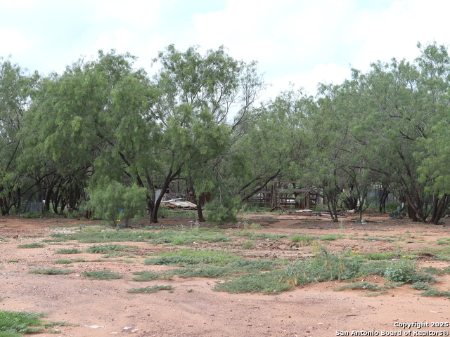 Details for 111 County Road 2660, Devine, TX 78016