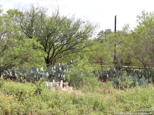 Listing photo id 0 for 111 County Road 2660