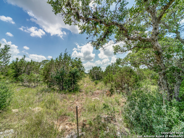 Image 10 of 13 For Lot 38 Sabinas Creek Ranch