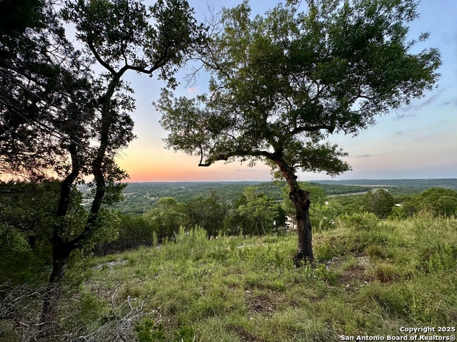 Listing photo id 19 for 25207 Rocky Hill