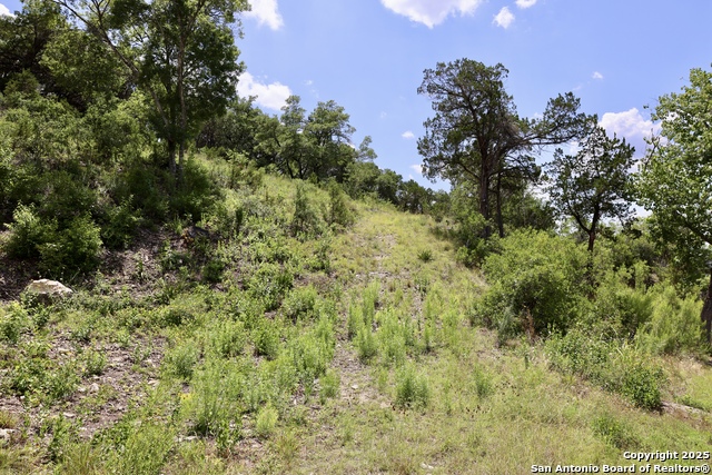 Listing photo id 3 for 25207 Rocky Hill
