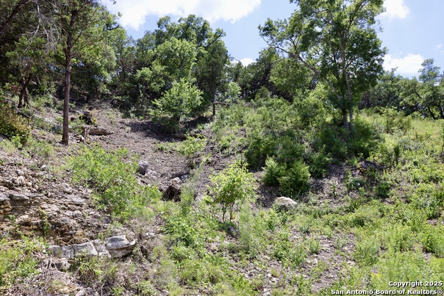 Listing photo id 4 for 25207 Rocky Hill