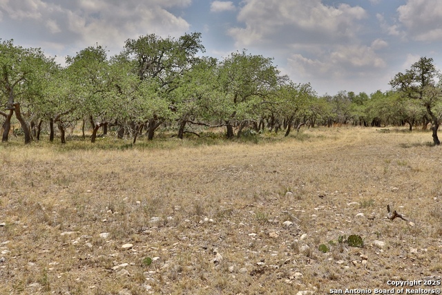 Image 6 of 16 For 25 Dallas Josie Rd