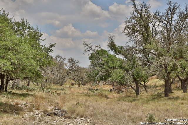 Image 9 of 16 For 25 Dallas Josie Rd