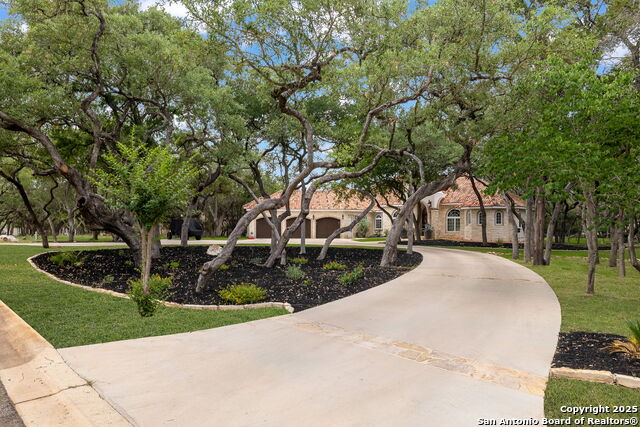 Image 9 of 50 For 10211 Oak Forest