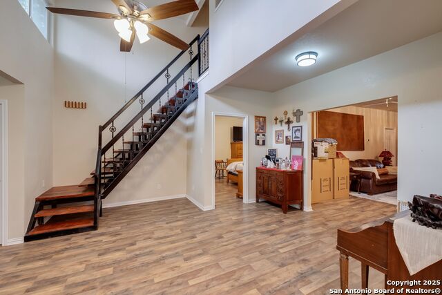 Image 14 of 31 For 246 Felisa Street