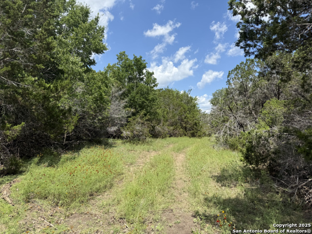 Image 11 of 41 For 0000 Johns Rd
