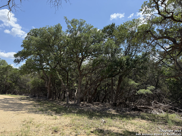 Image 6 of 41 For 0000 Johns Rd
