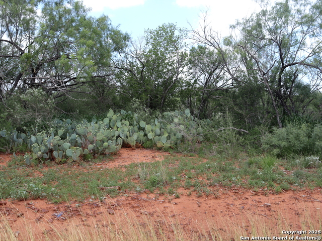 Details for 780 County Road 2645, Moore, TX 78057