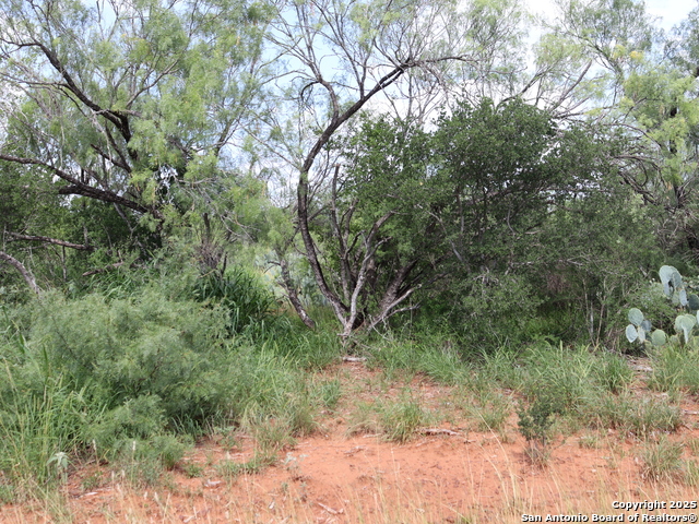 Image 3 of 5 For 780 County Road 2645