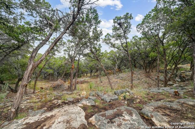 Image 33 of 47 For 30640 Bulverde Hills