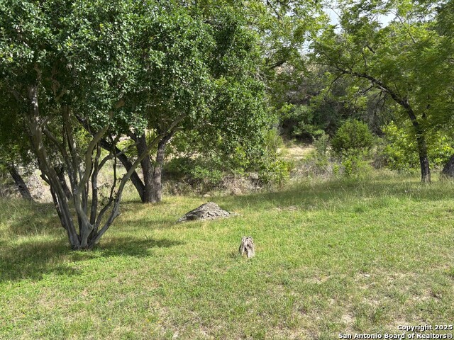 Image 21 of 35 For 952 Madrona Rd.