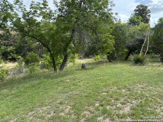 Image 22 of 35 For 952 Madrona Rd.