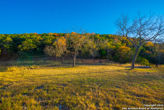Listing photo id 12 for 103 Bella Springs Rd