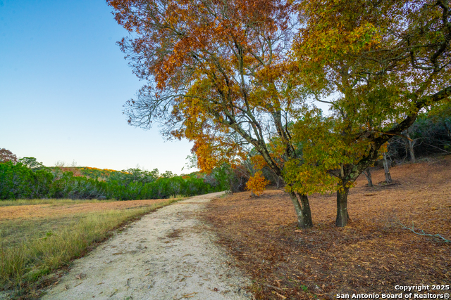 Listing photo id 15 for 103 Bella Springs Rd