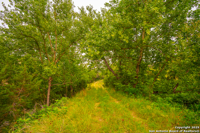 Listing photo id 20 for 103 Bella Springs Rd