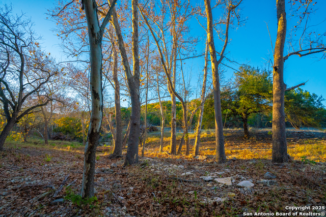 Listing photo id 1 for 103 Bella Springs Rd
