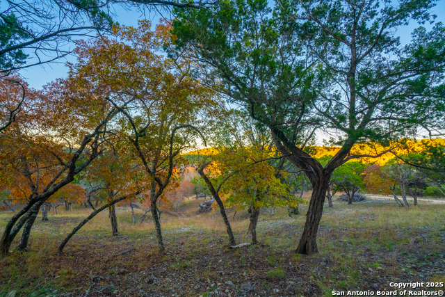 Listing photo id 2 for 103 Bella Springs Rd