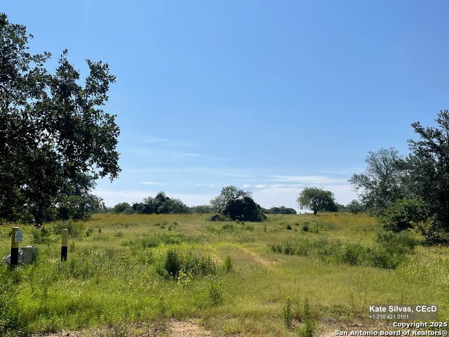 Listing photo id 3 for 22630 Campbellton