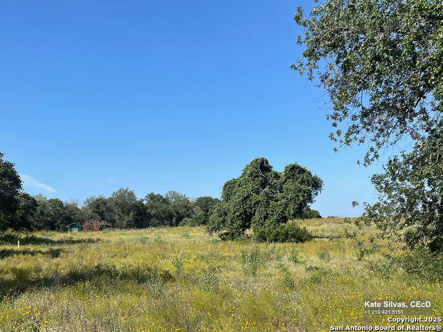 Listing photo id 5 for 22630 Campbellton