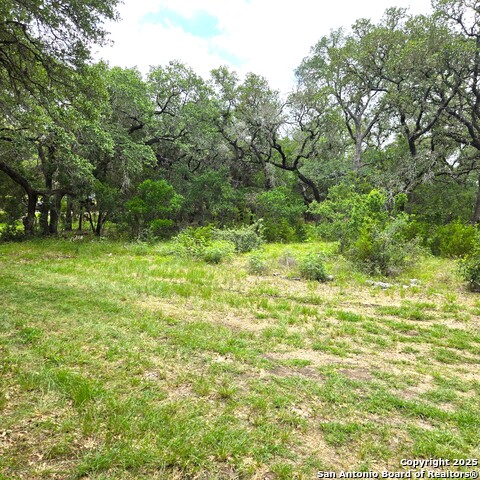 Details for 23015 Breeze St S, San Antonio, TX 78258