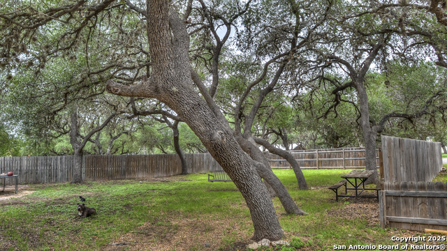 Image 4 of 57 For 704 Alex Auld