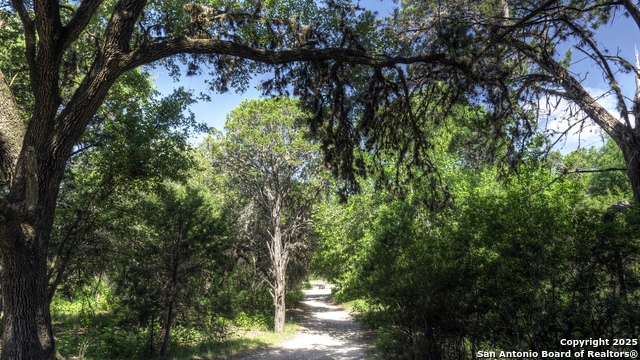 Image 42 of 57 For 704 Alex Auld