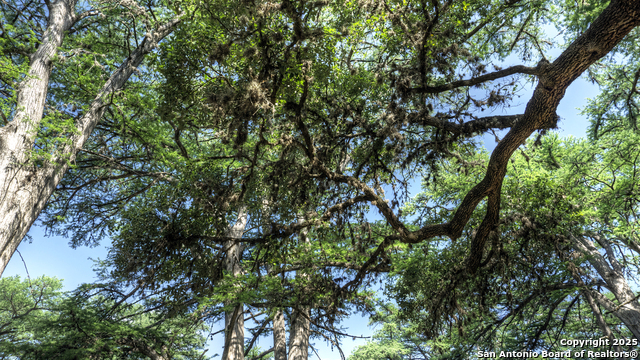 Image 47 of 57 For 704 Alex Auld