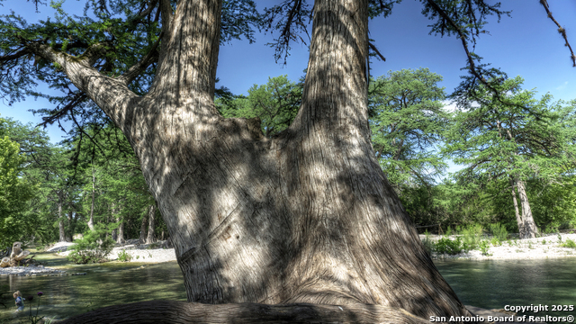 Image 48 of 57 For 704 Alex Auld