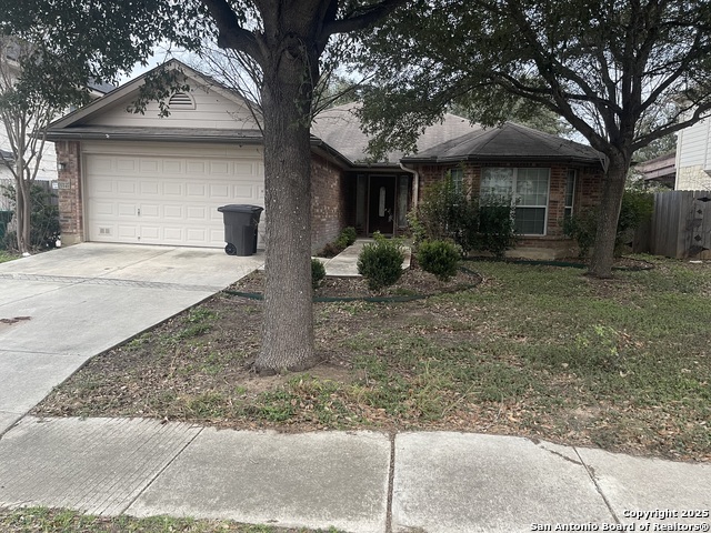 Image 29 of 29 For 4122 Chinkapin Oak