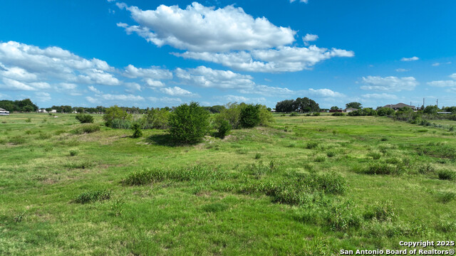 Image 13 of 20 For 12725 Wisdom Rd