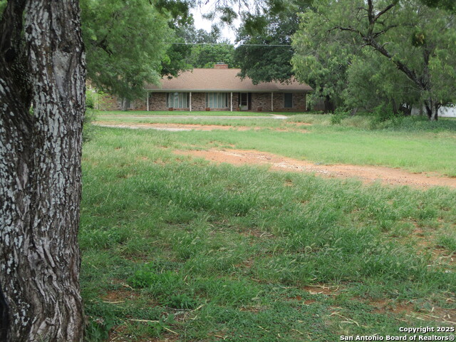 Image 2 of 6 For Tbd Pecan N