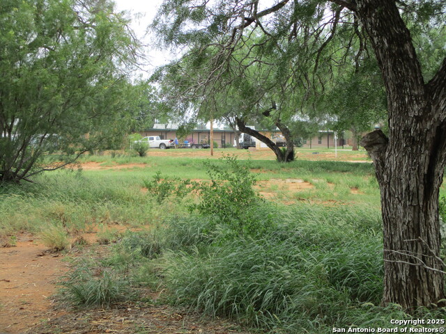 Image 3 of 6 For Tbd Pecan N