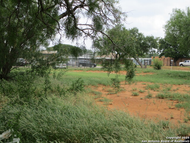 Image 4 of 6 For Tbd Pecan N