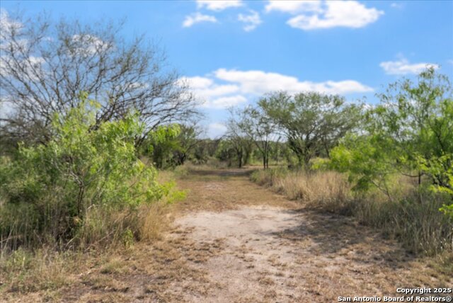 Image 36 of 49 For 226 Private Rd 3251