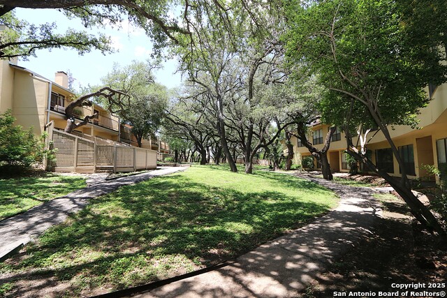 Image 5 of 30 For 8642 Fredericksburg  308