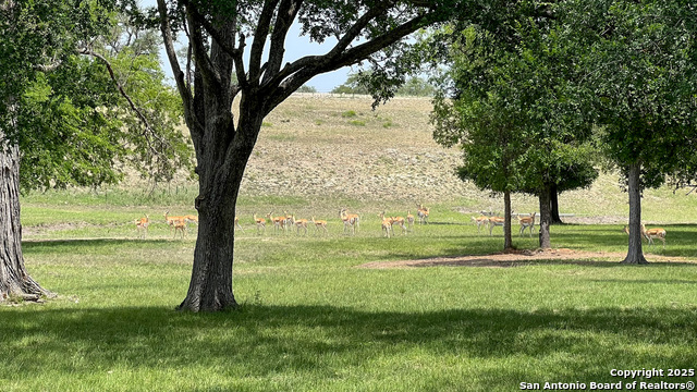 Image 7 of 45 For 560 Westwway Drive