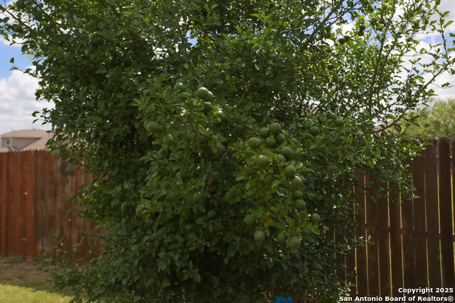 Image 33 of 50 For 8808 Chavez Path