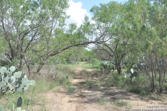 Image 2 of 8 For Tbd Cr 662  