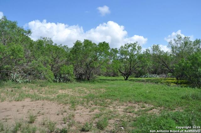 Image 4 of 8 For Tbd Cr 662  
