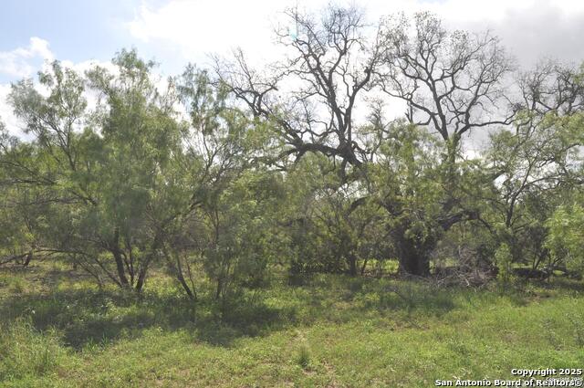 Image 5 of 8 For Tbd Cr 662  
