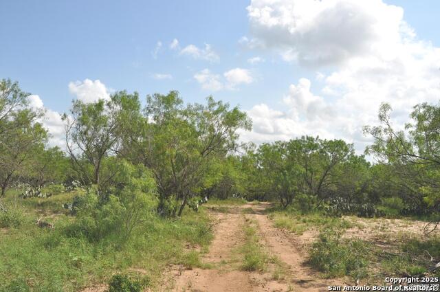 Image 6 of 8 For Tbd Cr 662  