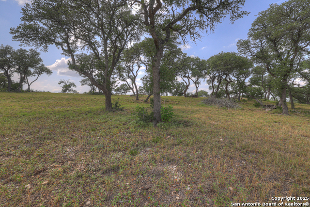 Image 10 of 45 For 338 Sheridan