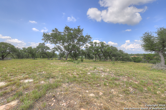 Image 11 of 45 For 338 Sheridan