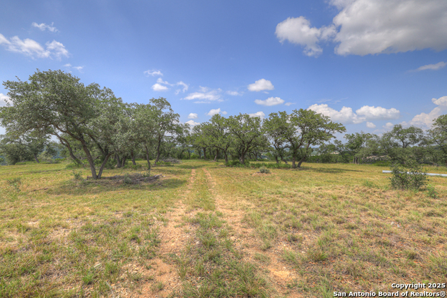 Image 12 of 45 For 338 Sheridan