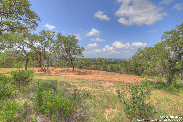 Image 14 of 45 For 338 Sheridan