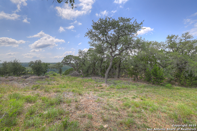 Image 17 of 45 For 338 Sheridan